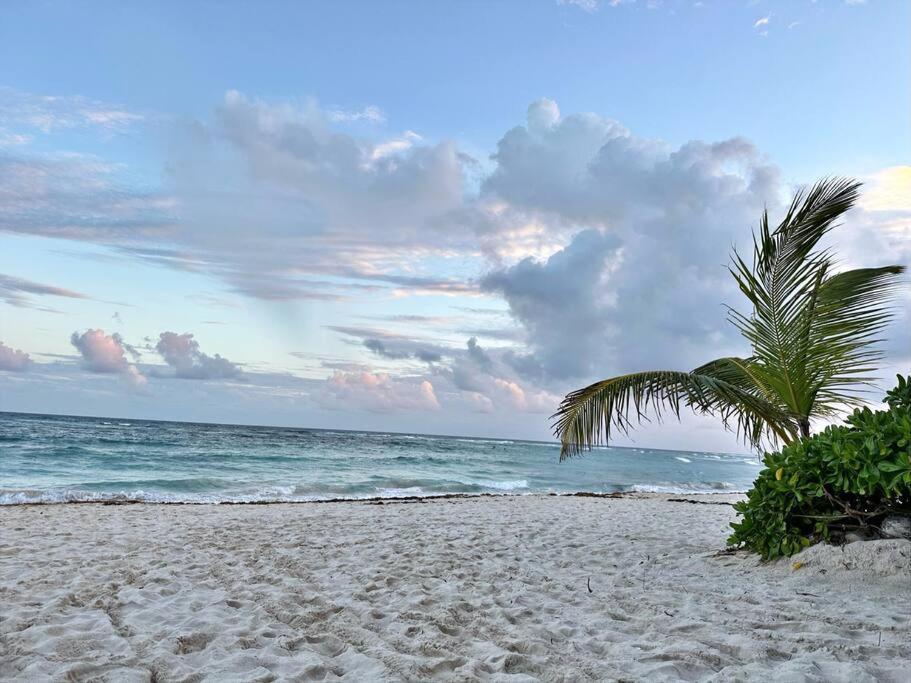 3 Bedroom Luxury Condo Next To Beach & Pools, Ac And Internet Akumal Exterior foto